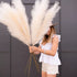 Faux Pampas Grass